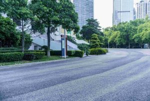 Empty urban street flanked by trees and bushes, with high-rise buildings in the background on a clear day.