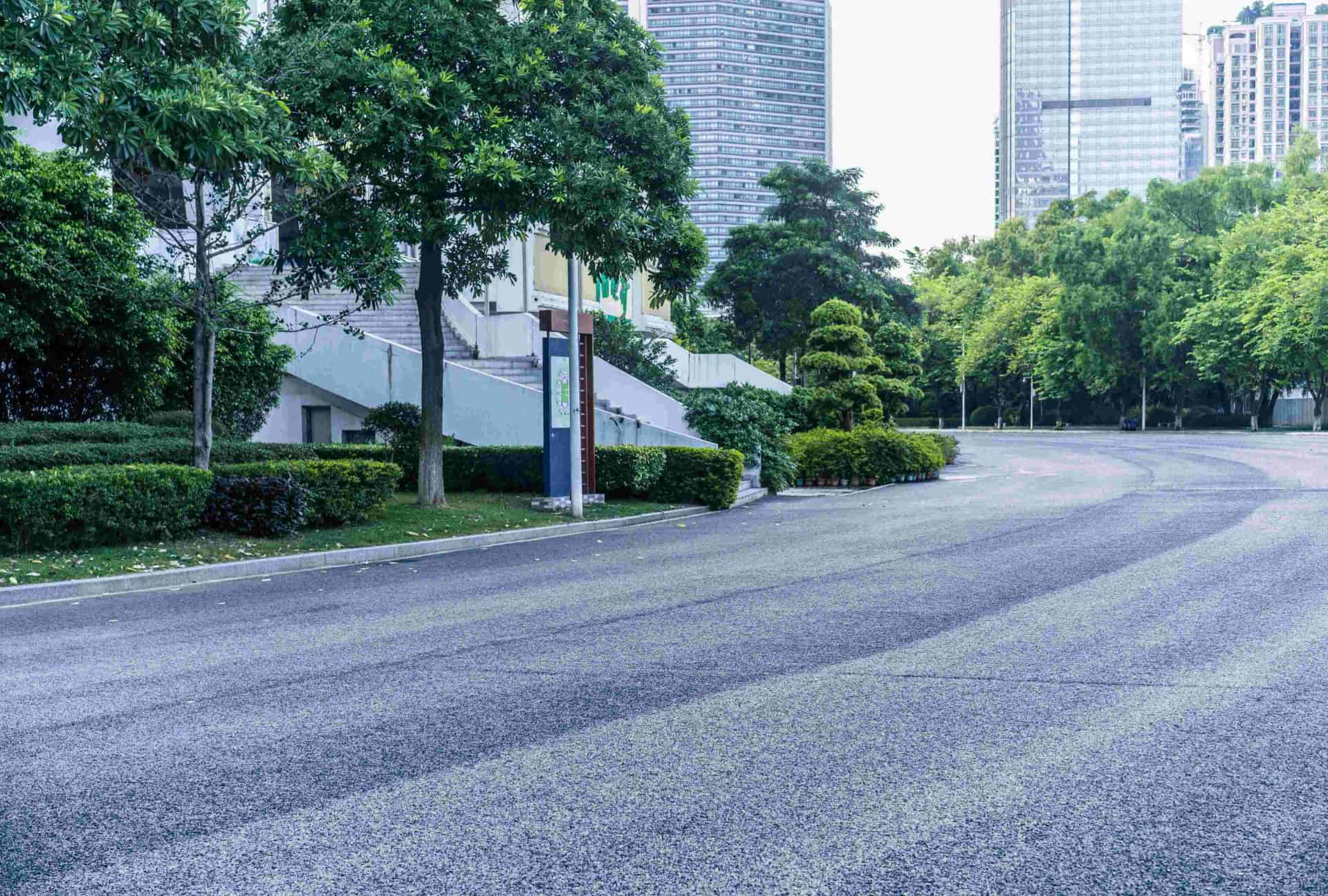 Empty urban street flanked by trees and bushes, with high-rise buildings in the background on a clear day.